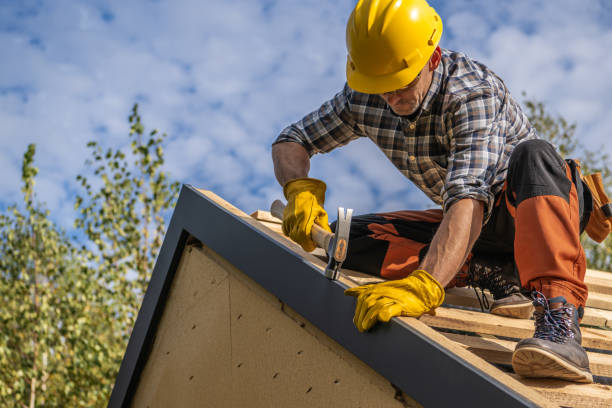 Best Rubber Roofing (EPDM, TPO)  in Pinellas Park, FL